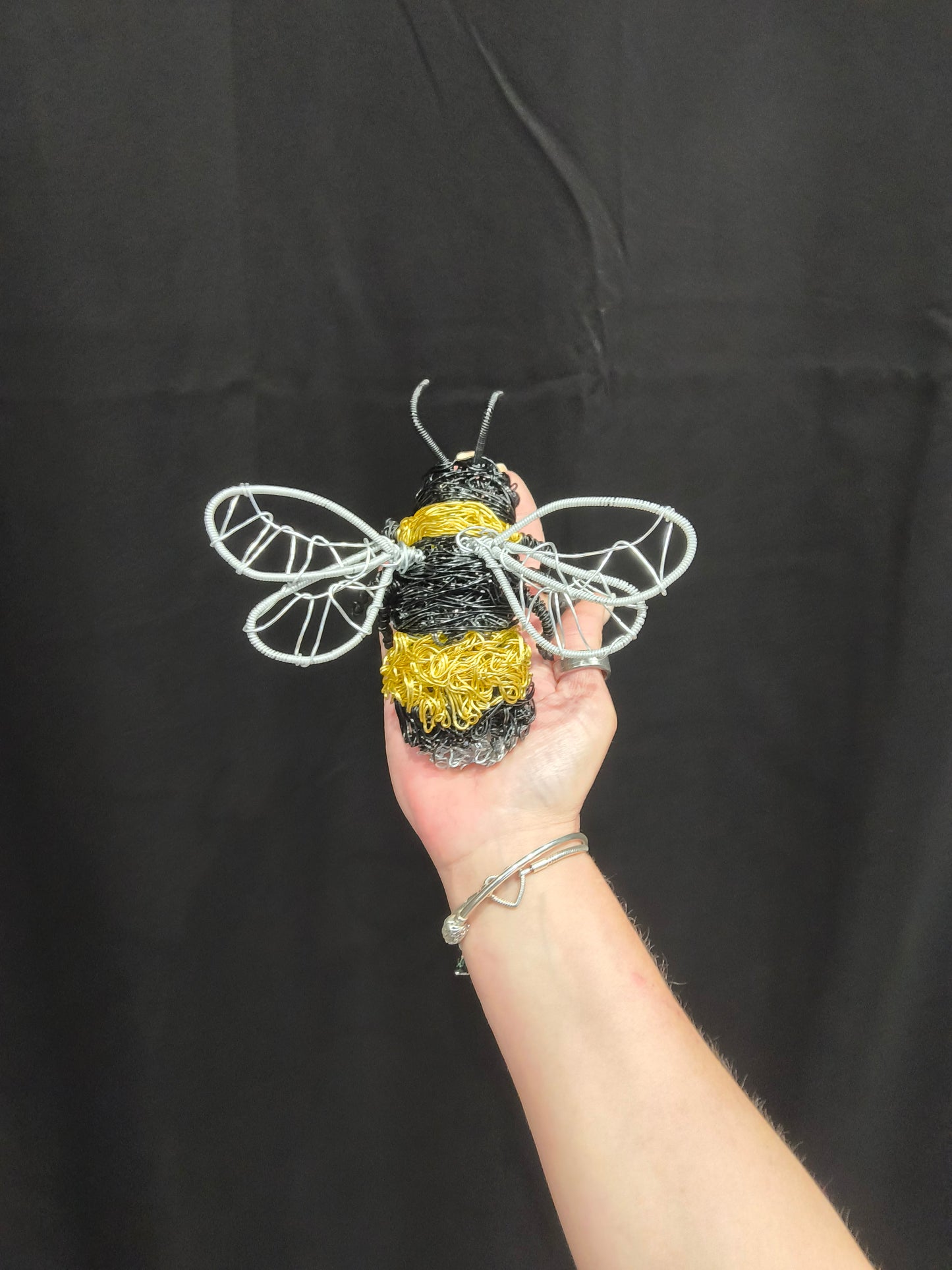 Bumblebee the bee