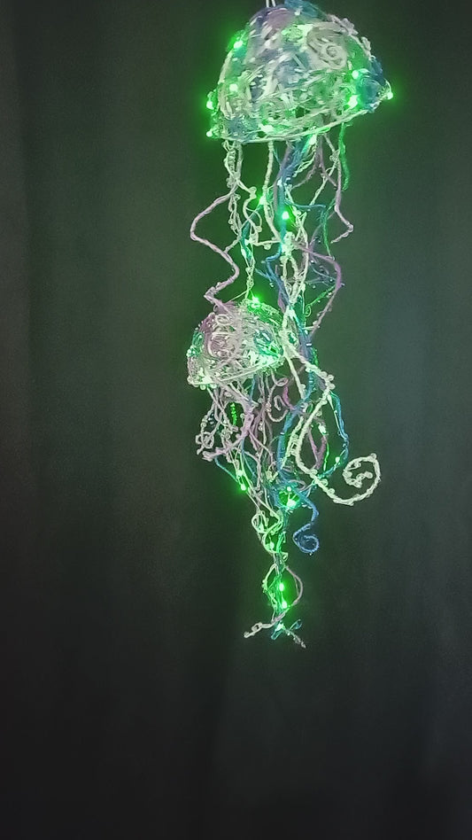 Enchanted Jelly fish