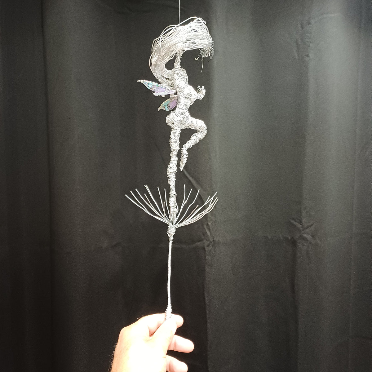 Once upon a wish fairy
