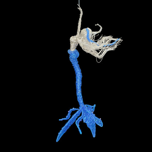 Blue the mermaid 🧜‍♂️