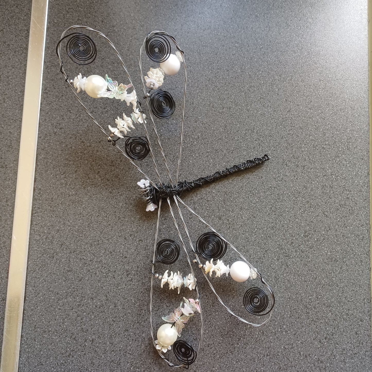 Black and white dragonfly